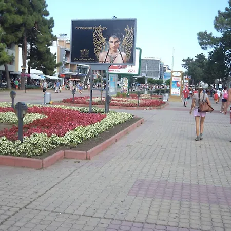 Family Romantik 阳光海滩